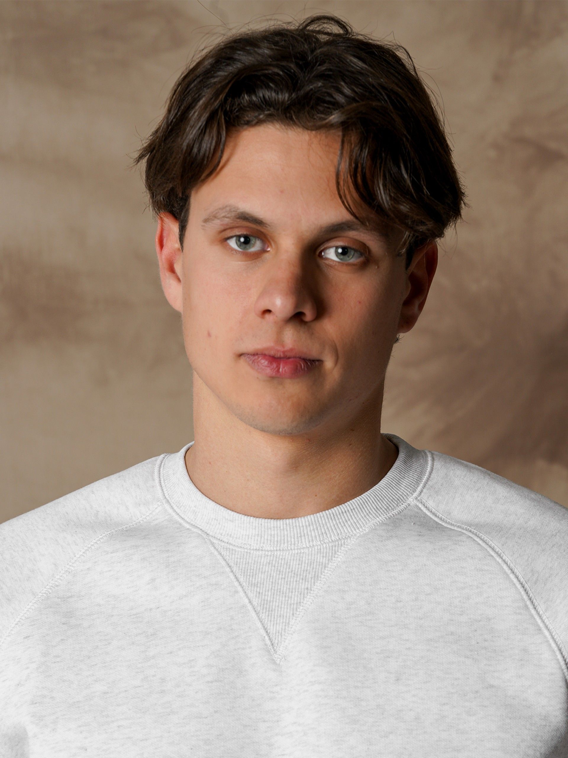 Camisola Carhartt WIP Chase Cinzenta