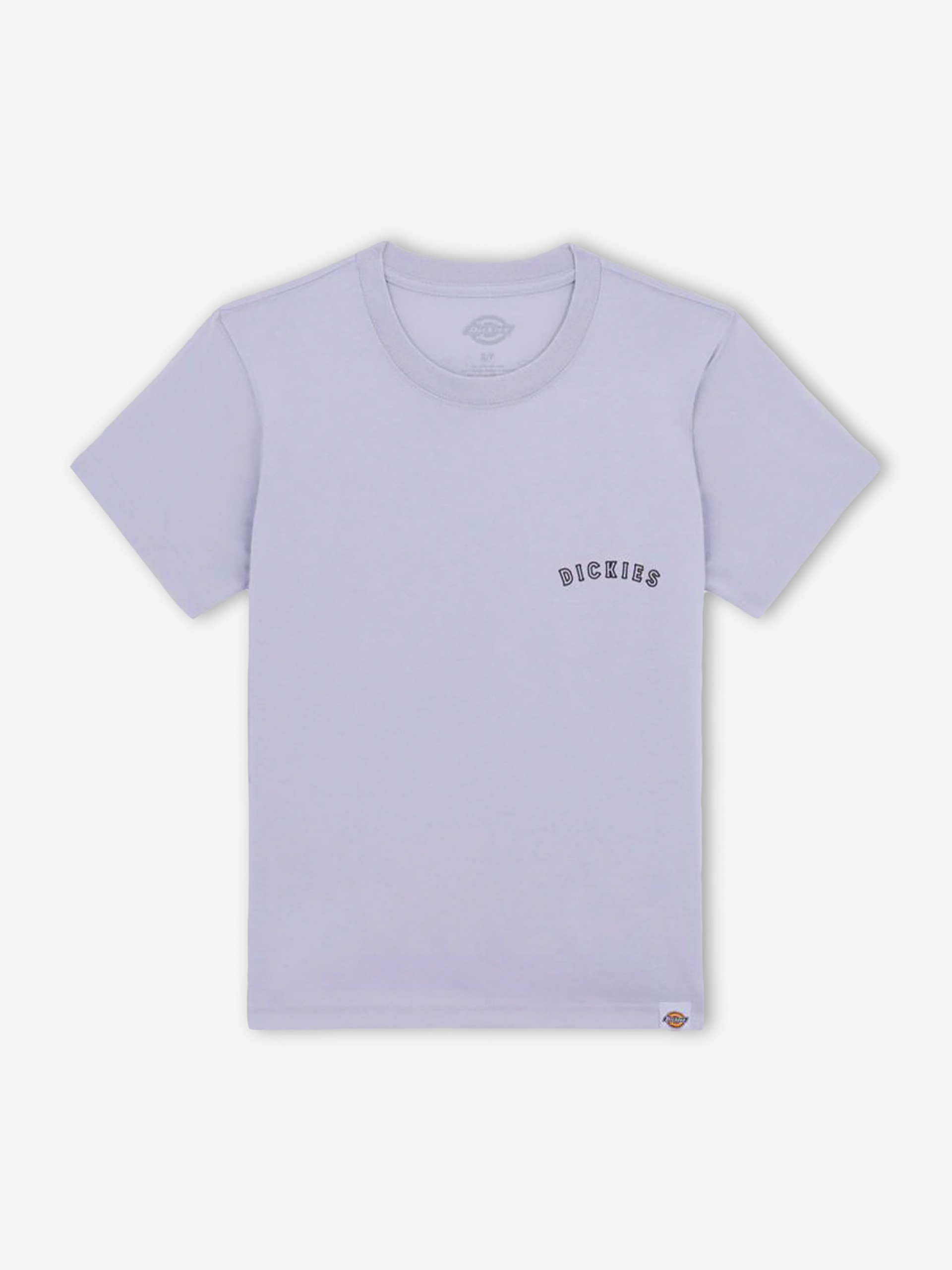 T-shirt Dickies Saltville SS W