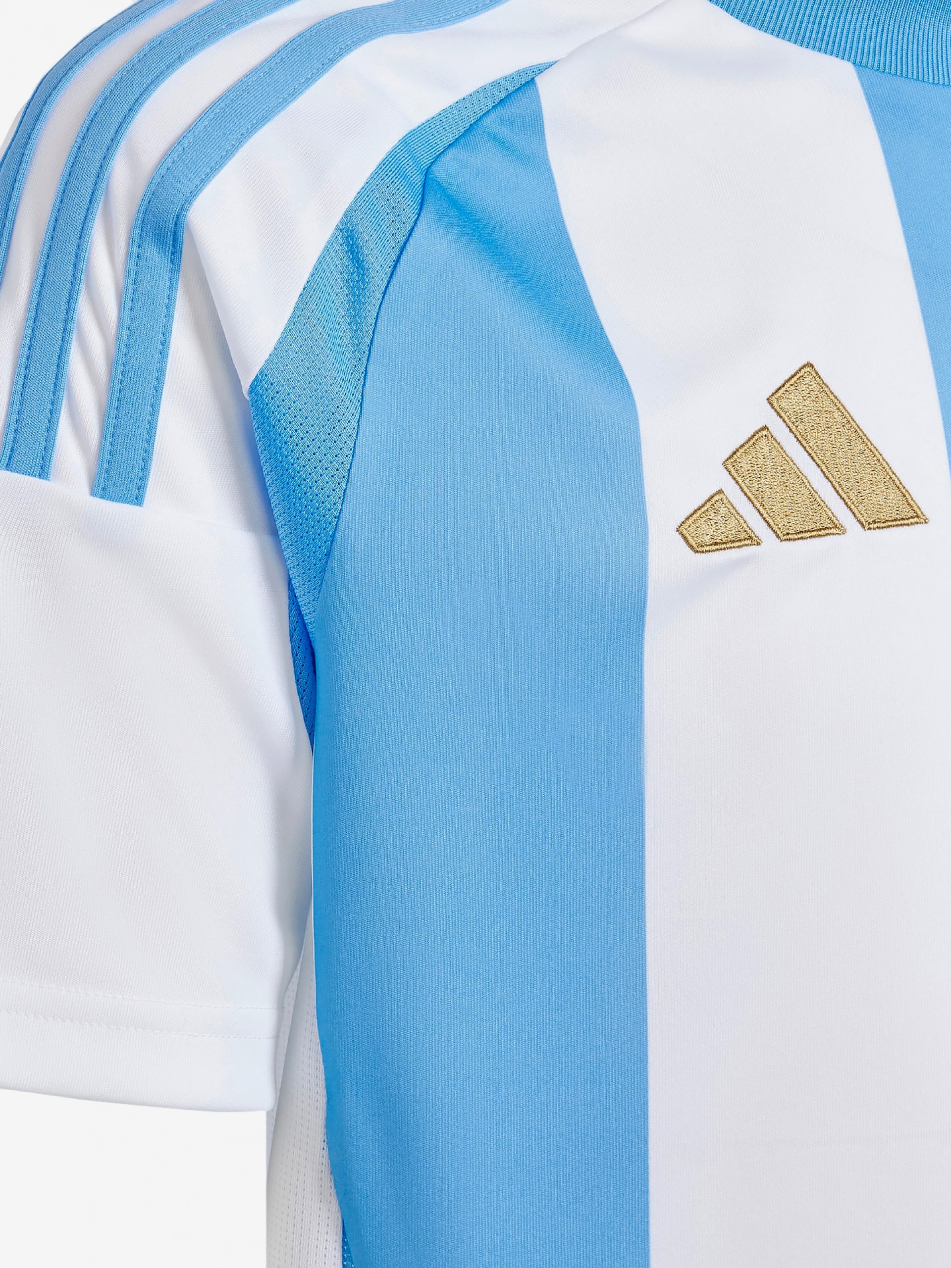 Camisola Adidas AFA Argentina Principal 24 Y