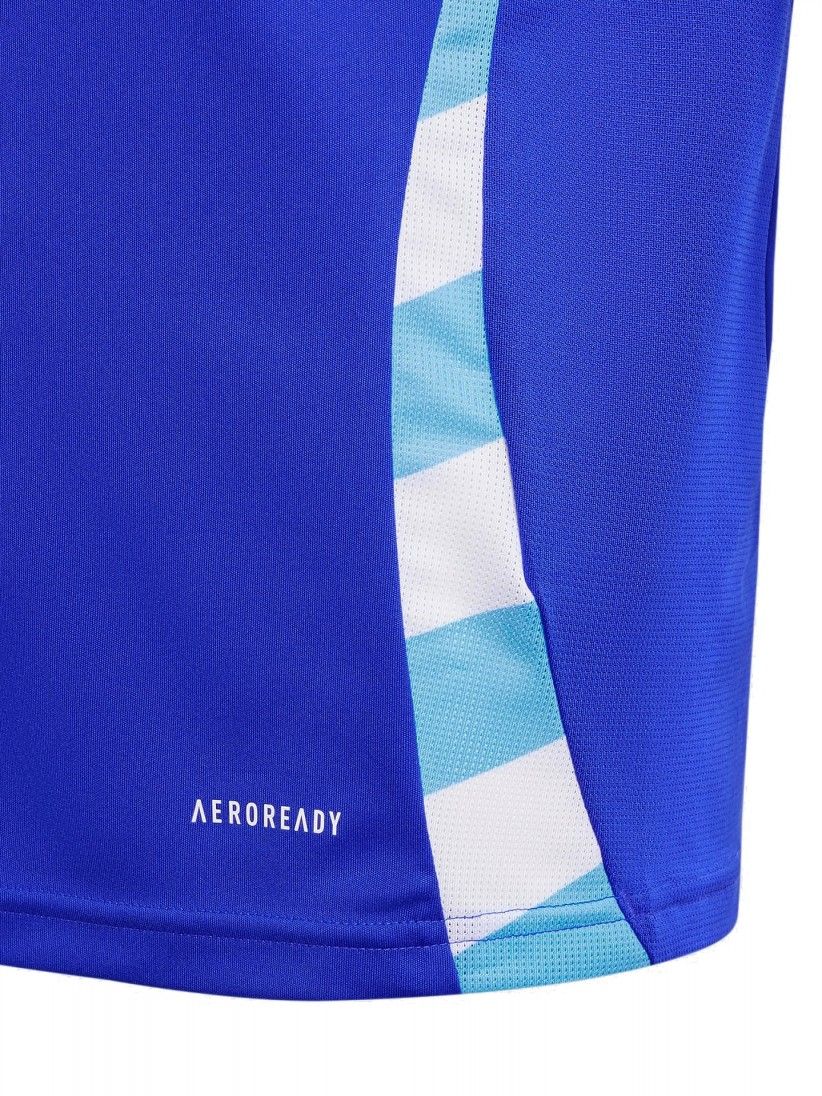 Camisola Adidas AFA Argentina Alternativa 24 Y