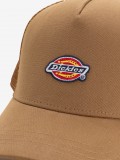 Dickies Hanston Trucker Cap