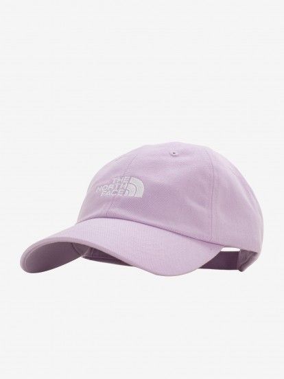 Gorra The North Face Norm