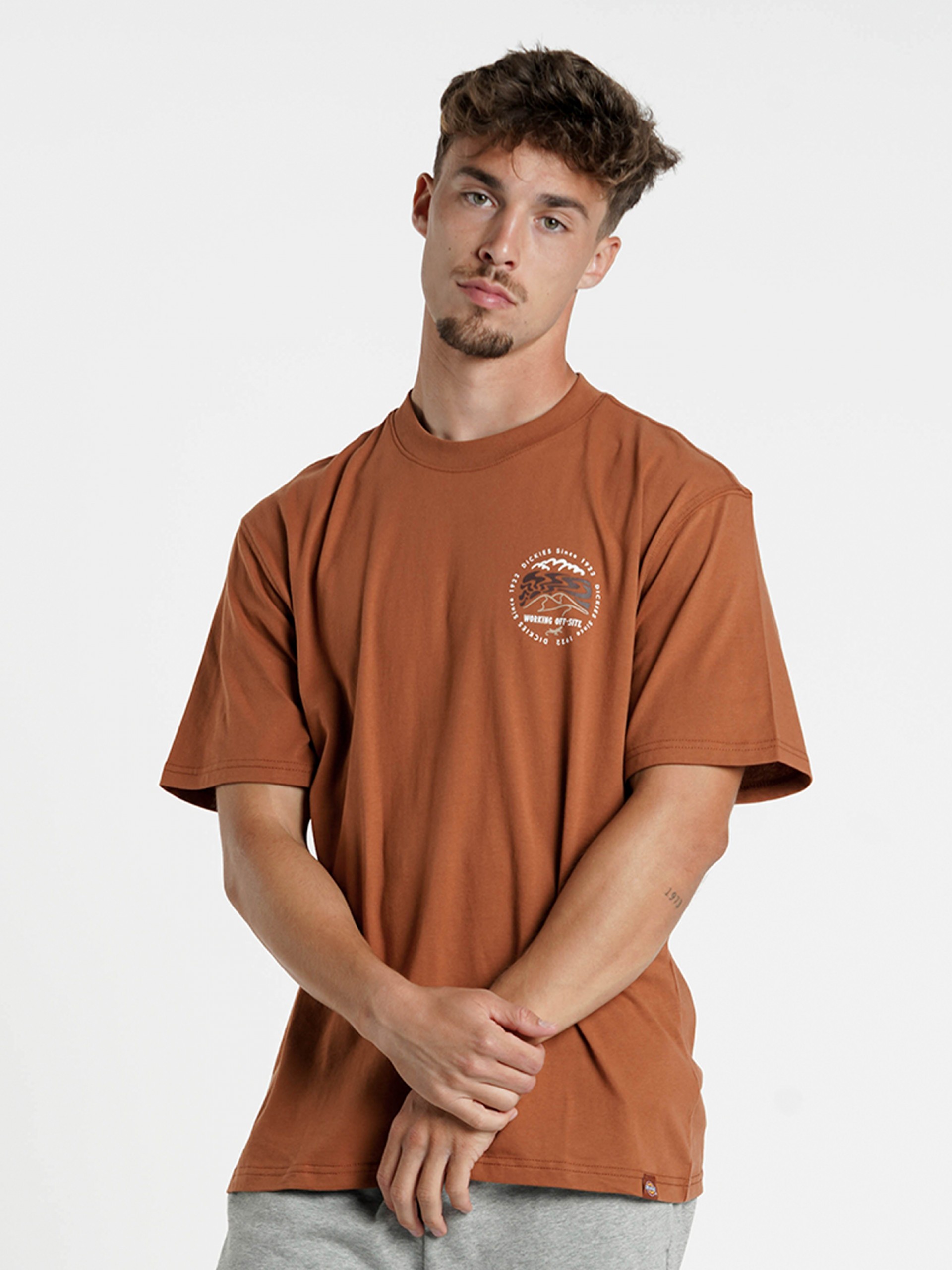 T-shirt Dickies Stanardsville