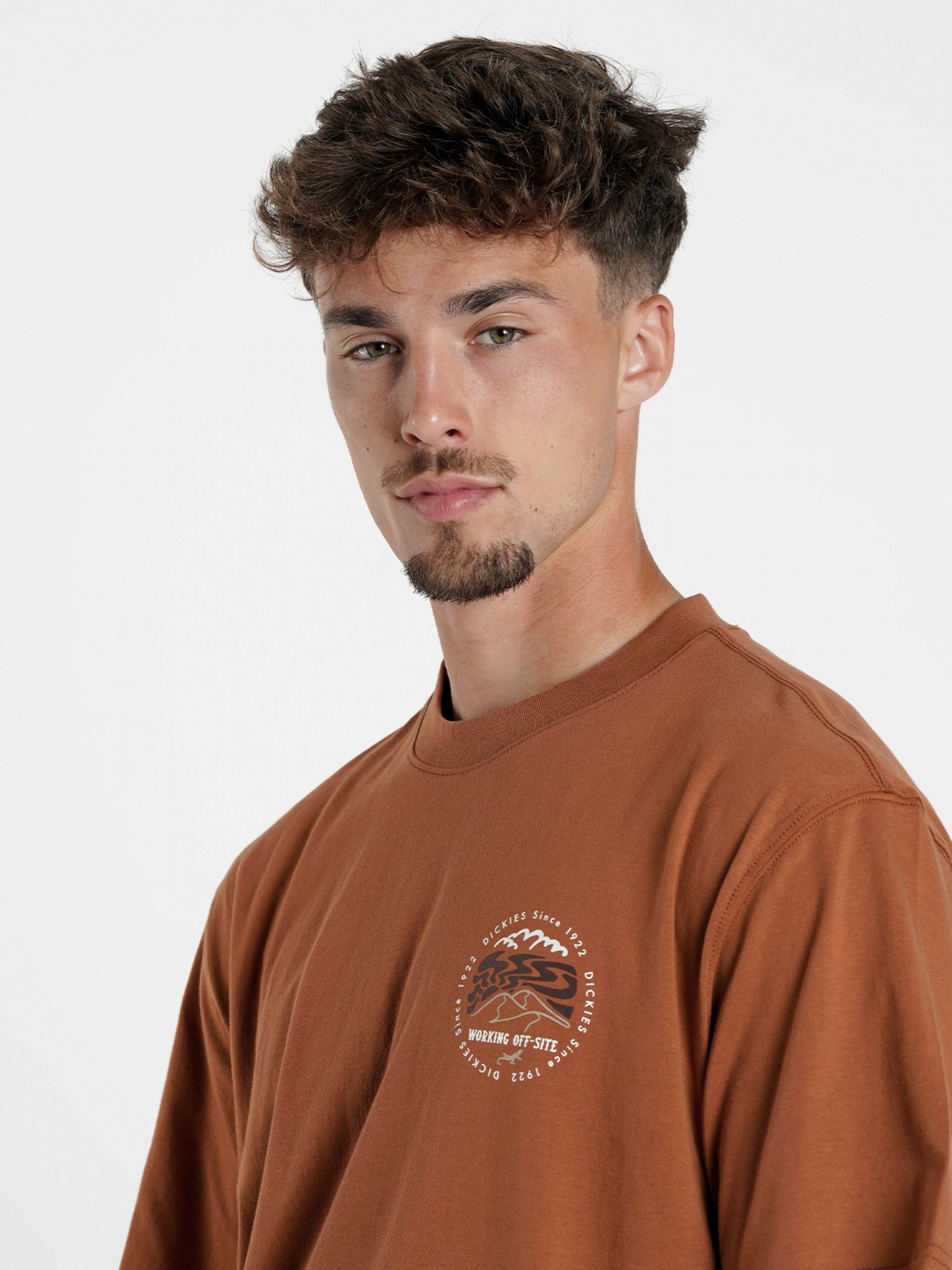 T-shirt Dickies Stanardsville