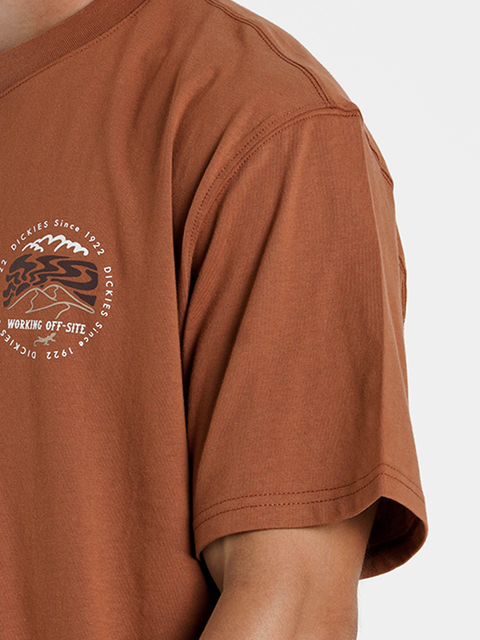 T-shirt Dickies Stanardsville