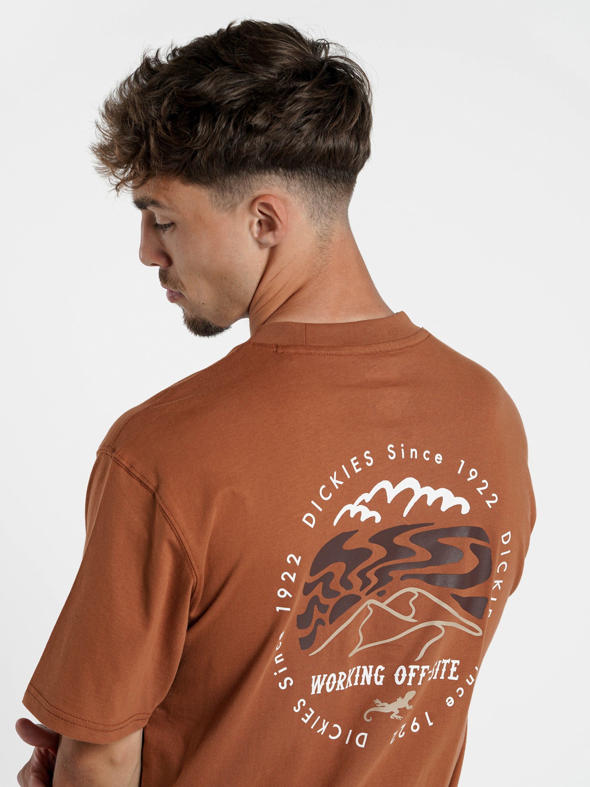 T-shirt Dickies Stanardsville