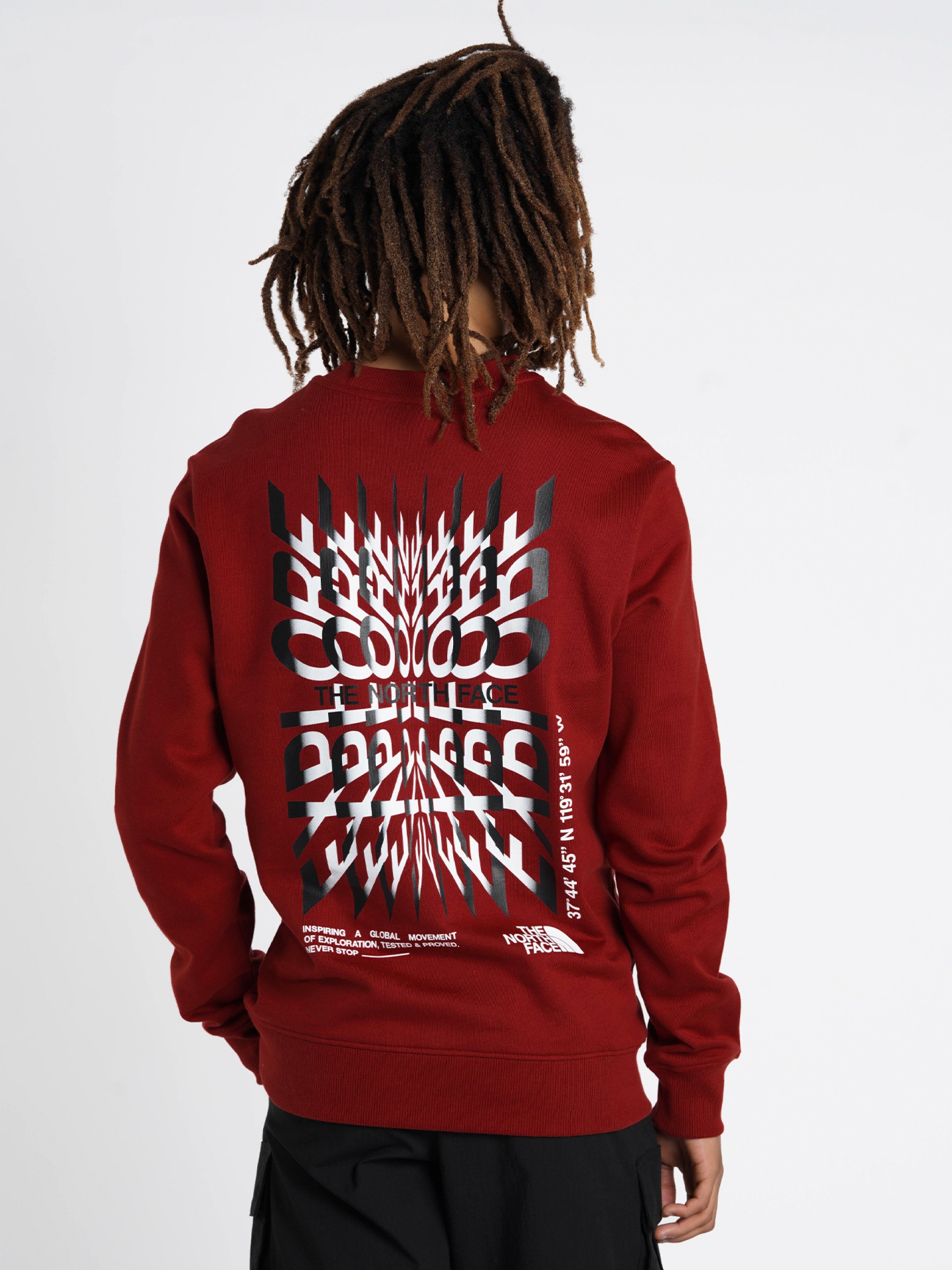 Sudadera The North Face Coordinates