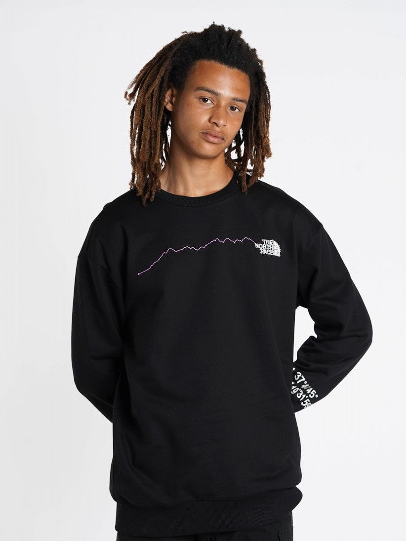 The North Face U NSE Graphic Sweater