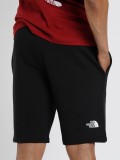 The North Face Standard Shorts