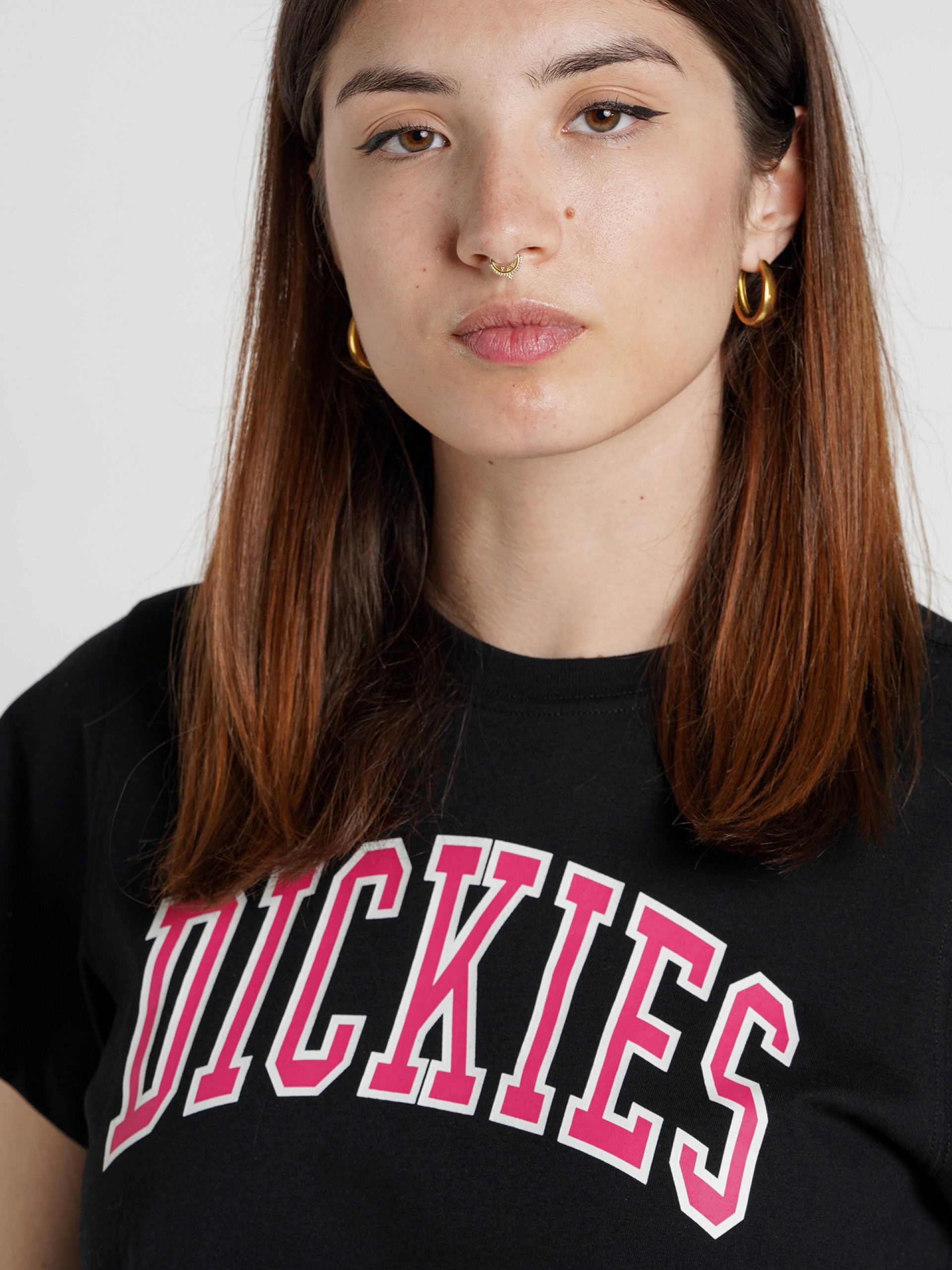 Camiseta Dickies Aitkin W