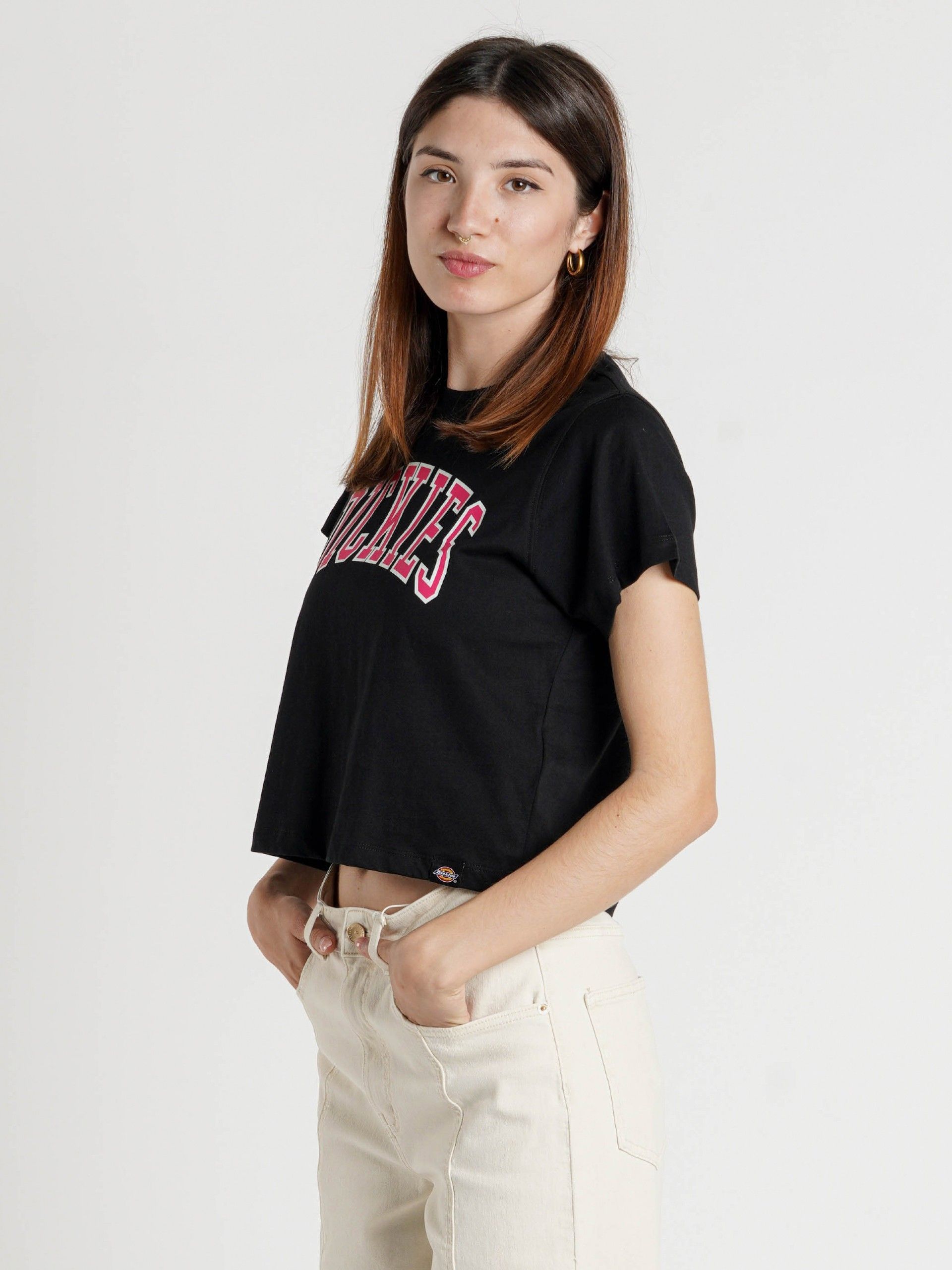 Camiseta Dickies Aitkin W