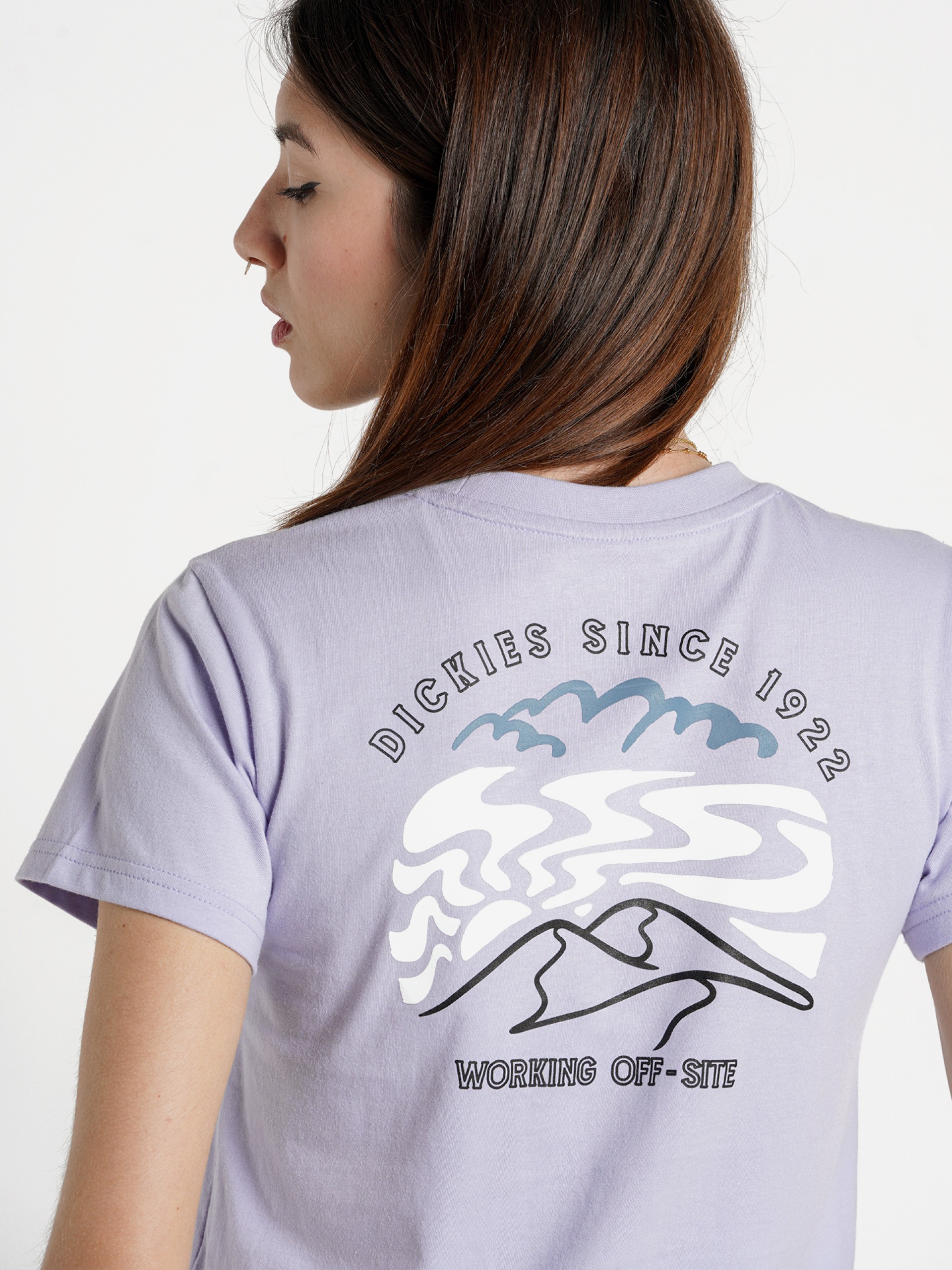 Camiseta Dickies Saltville SS W