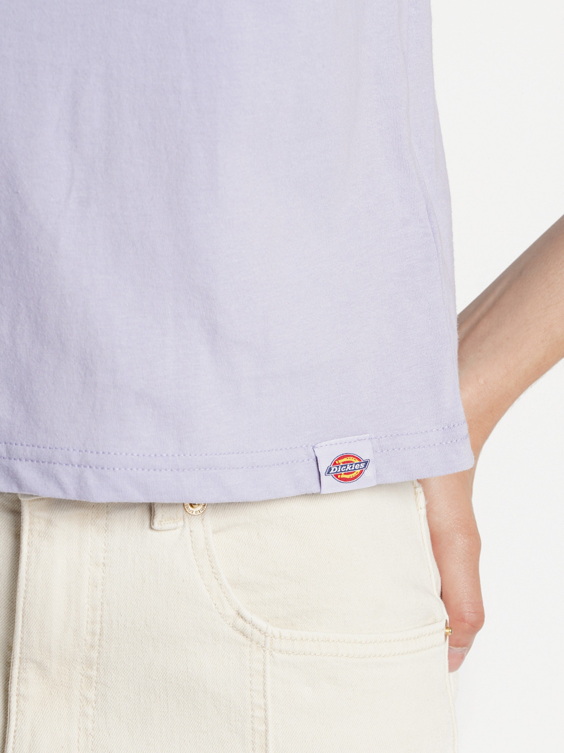 T-shirt Dickies Saltville SS W