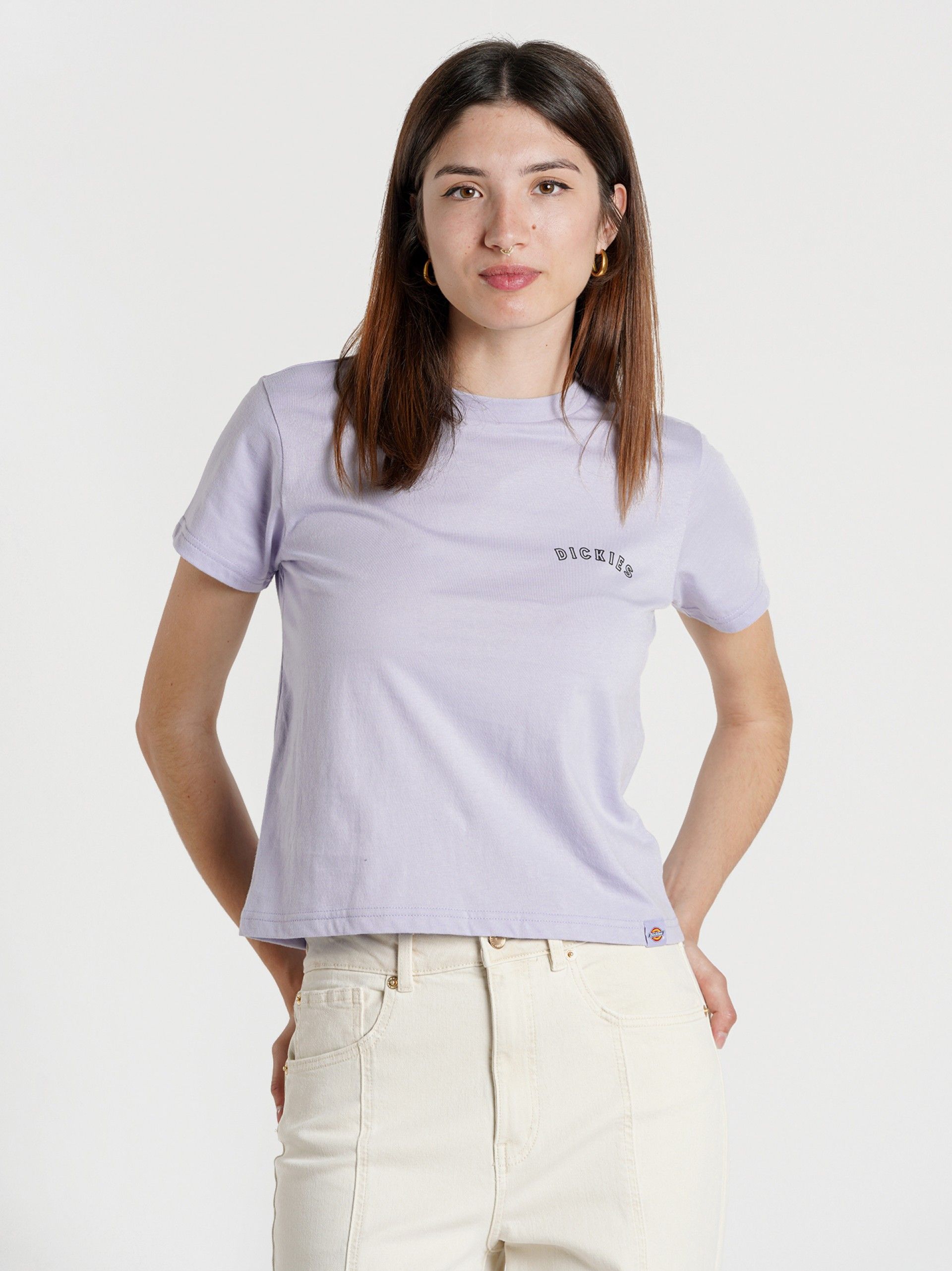 T-shirt Dickies Saltville SS W