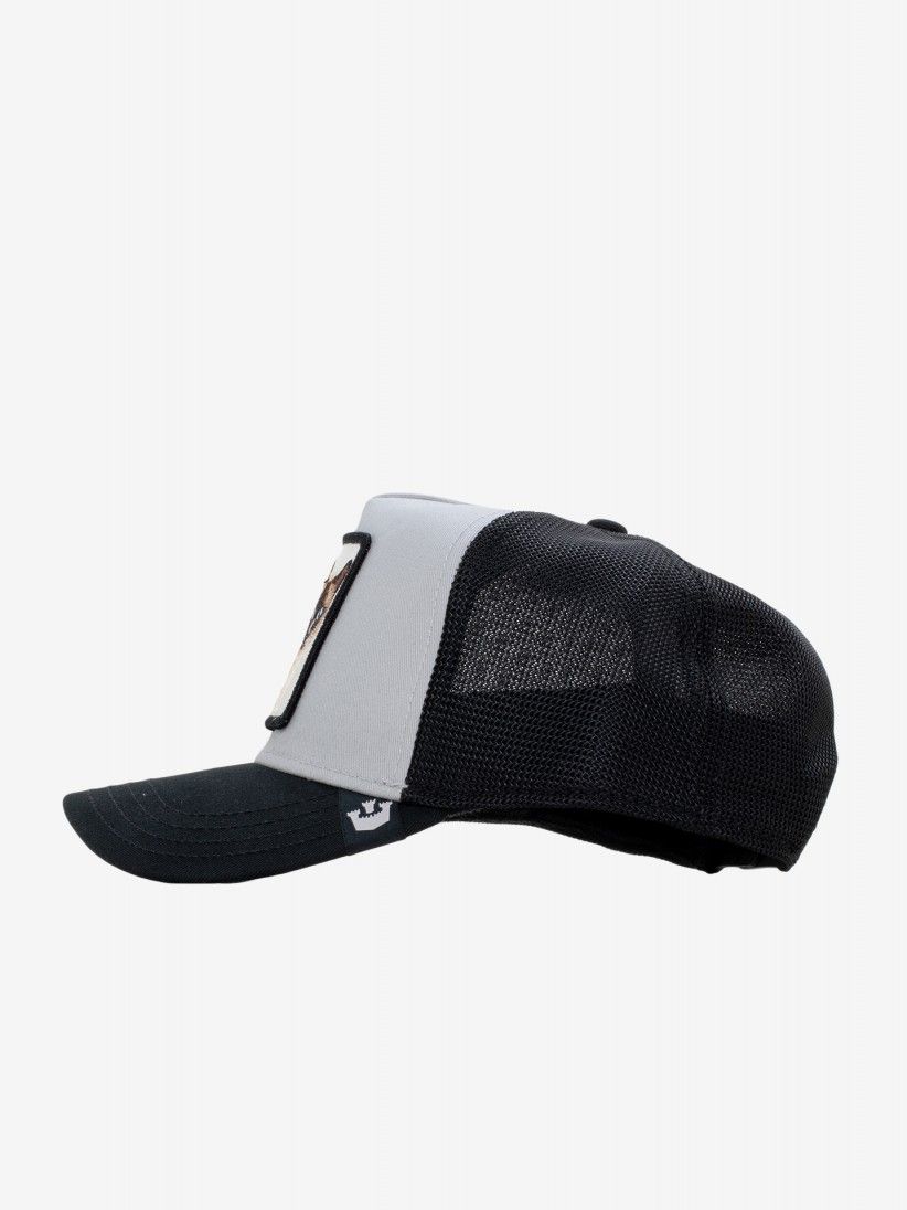 Gorra Goorin Bros Cool Cat