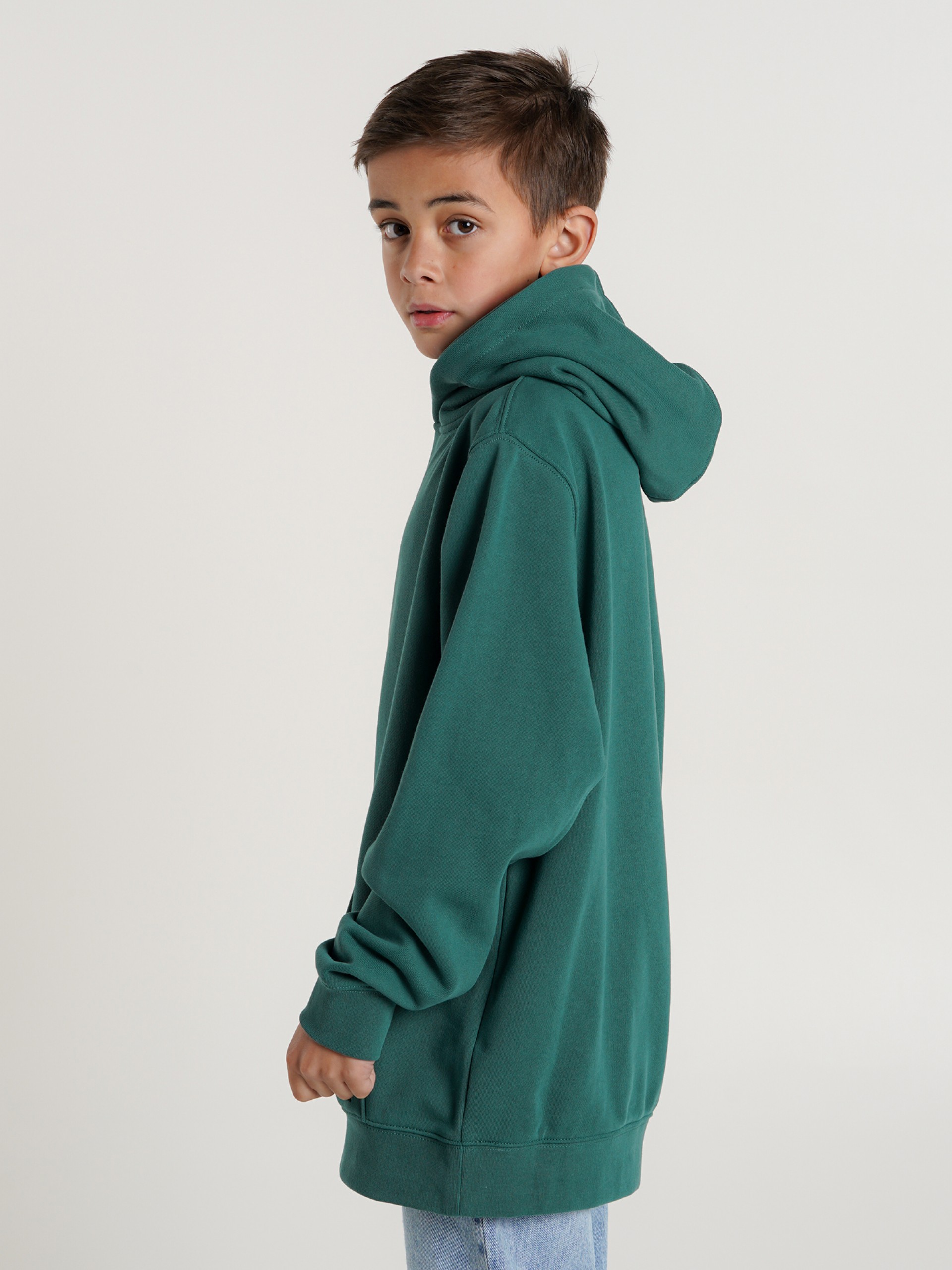Vans Original Standards Kids Hoodie