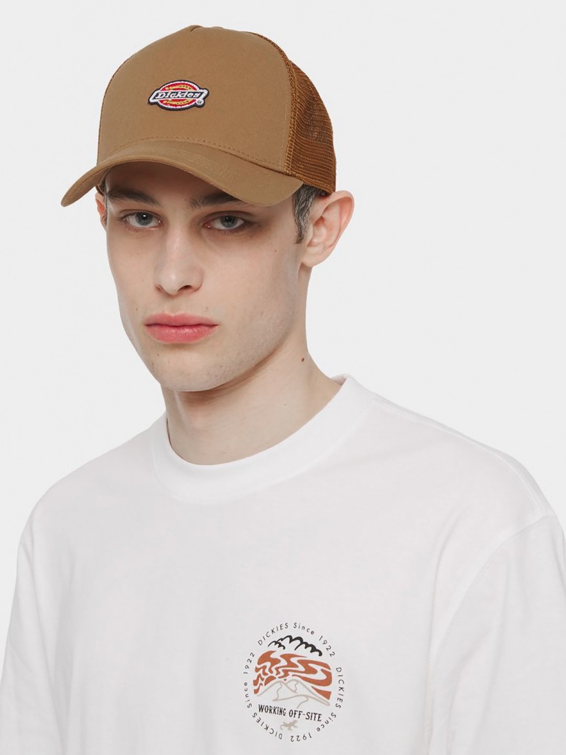 Dickies Hanston Trucker Cap