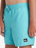 Quiksilver Solid Kids Blue Swimming Shorts