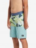 Quiksilver Everyday Division Kids Swimming Shorts