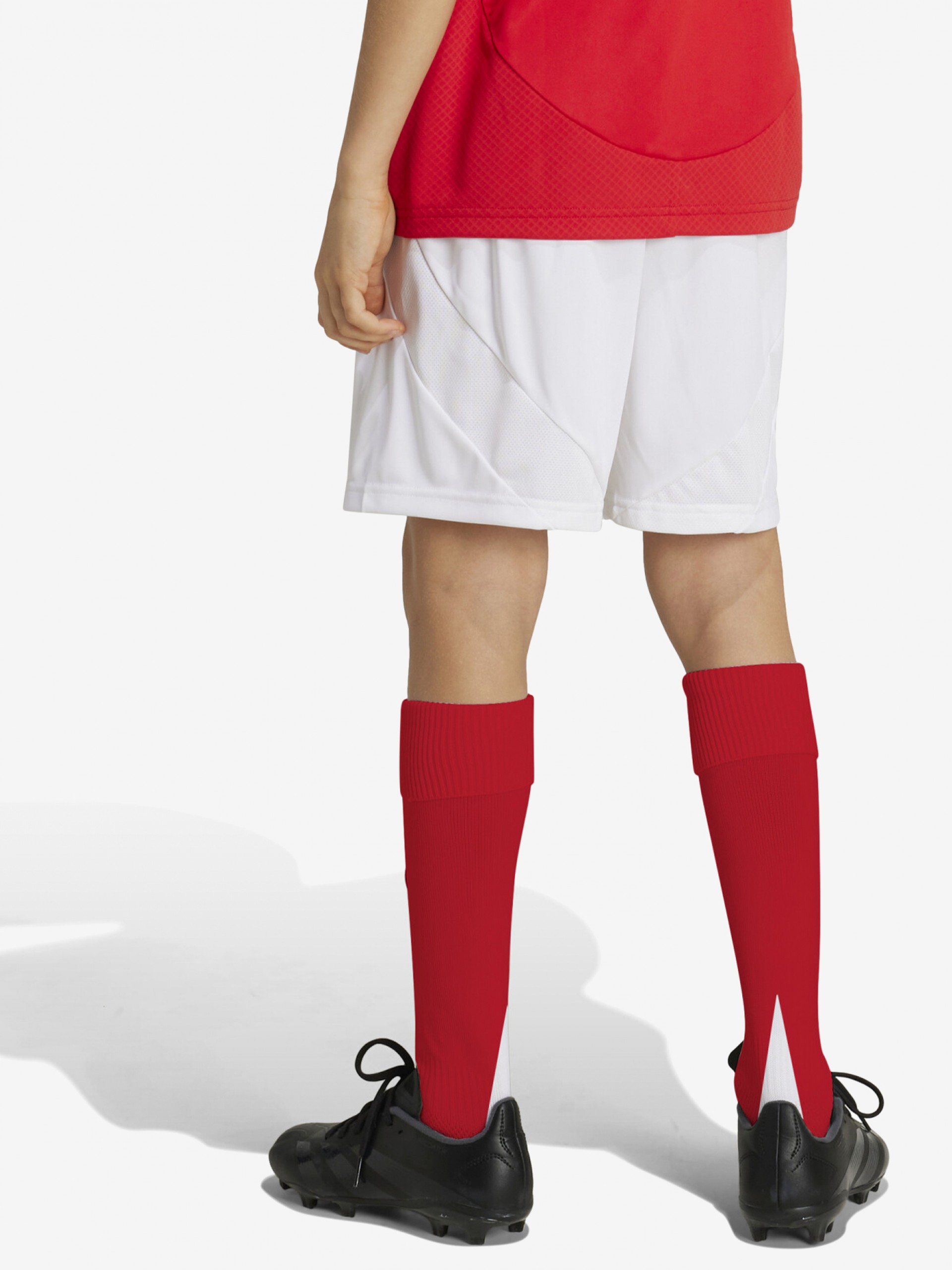 Calções Adidas Equipamento Principal S. L. Benfica Junior EP24/25