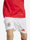 Pantalones Cortos Adidas Equipacin Principal S. L. Benfica Junior 24/25