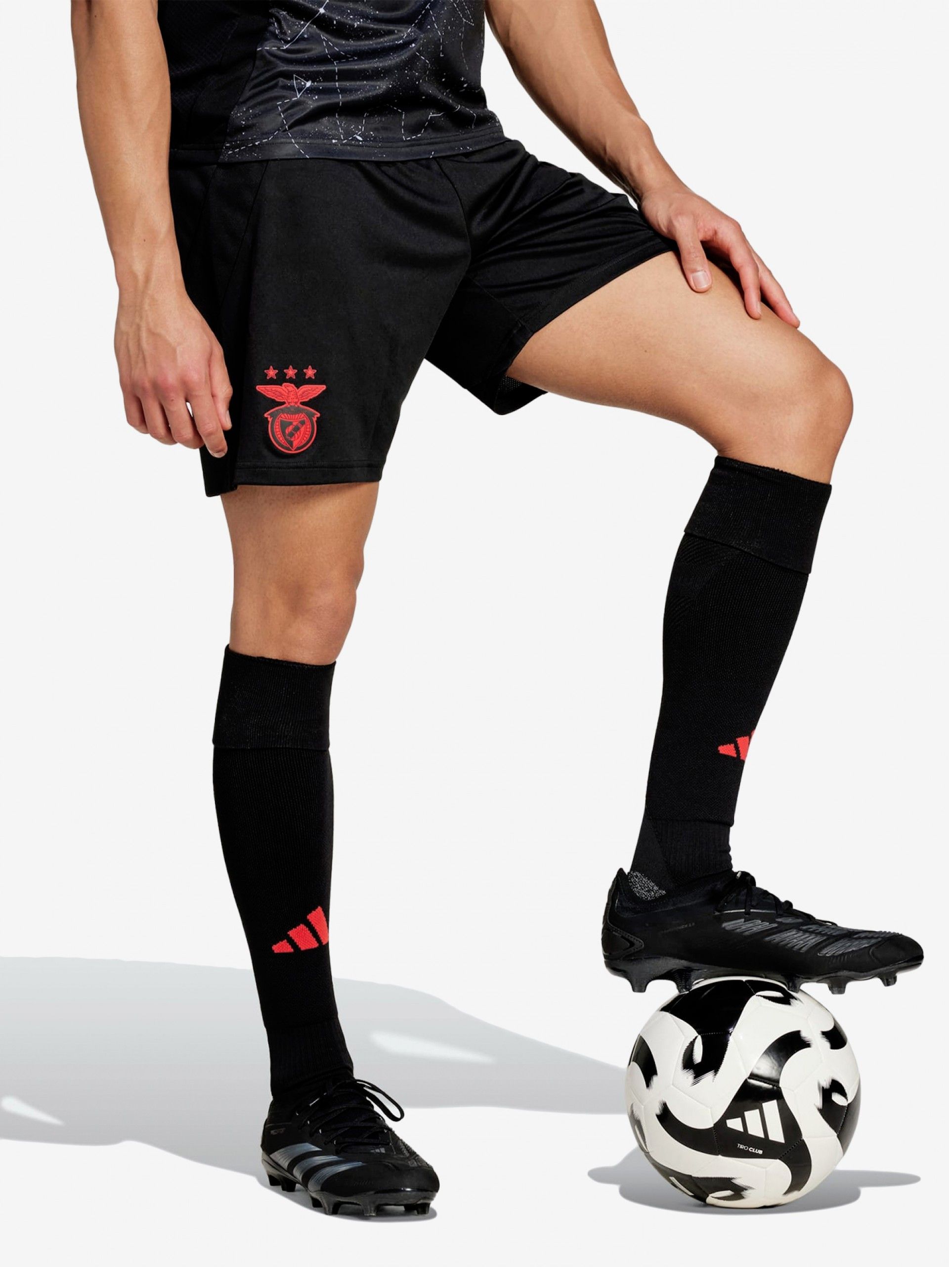 Calções Adidas Equipamento Alternativo S. L. Benfica EP24/25