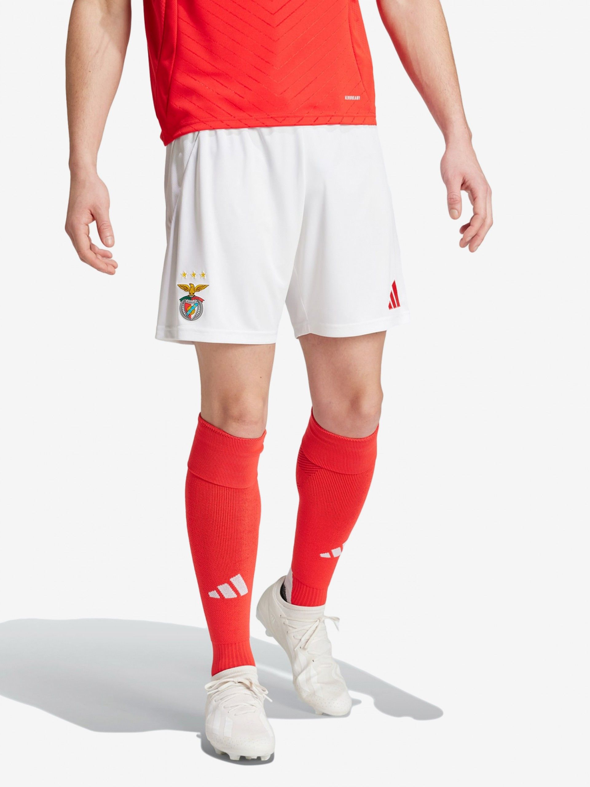 Calções Adidas Equipamento Principal S. L. Benfica EP24/25