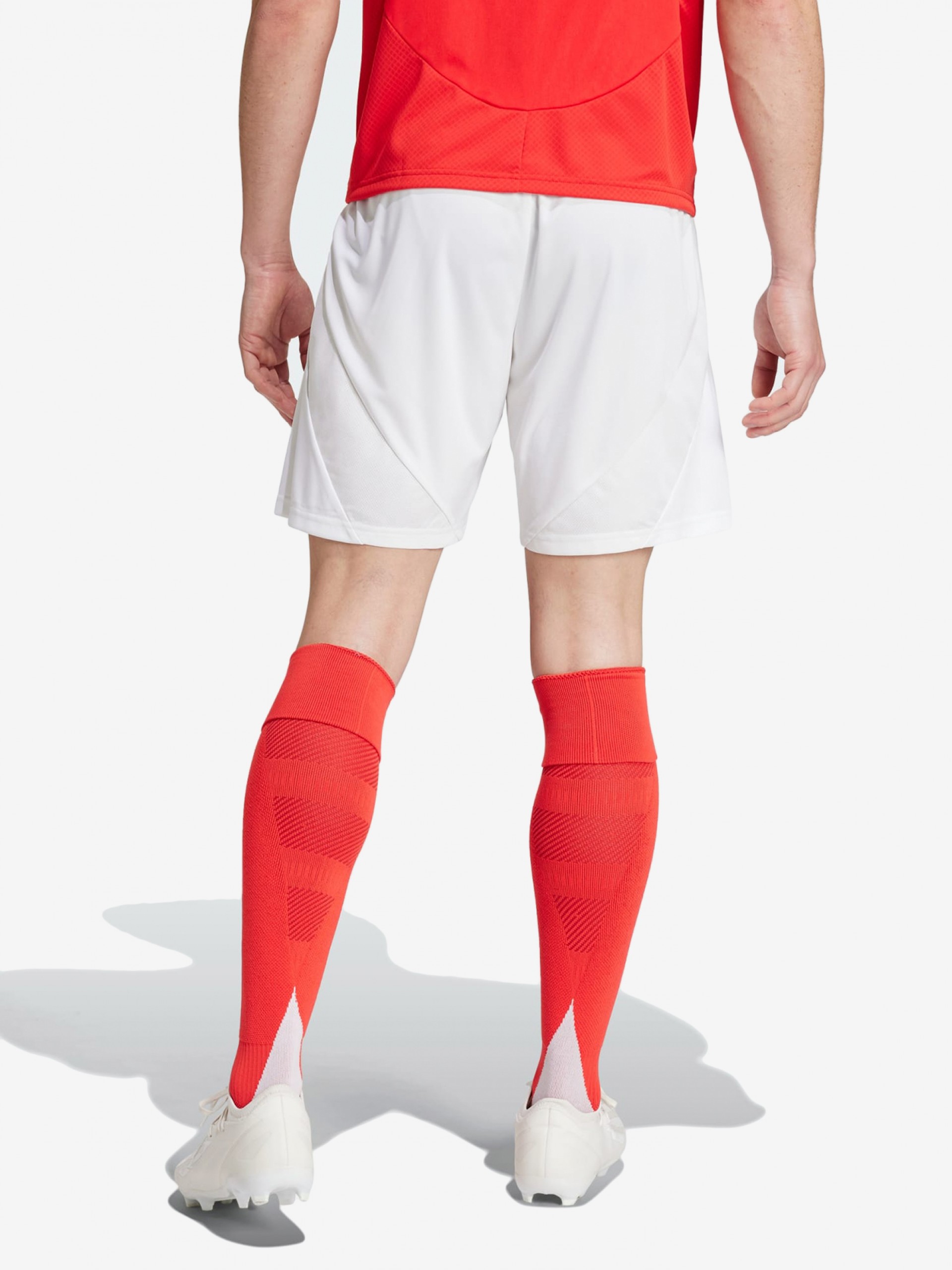 Calções Adidas Equipamento Principal S. L. Benfica EP24/25