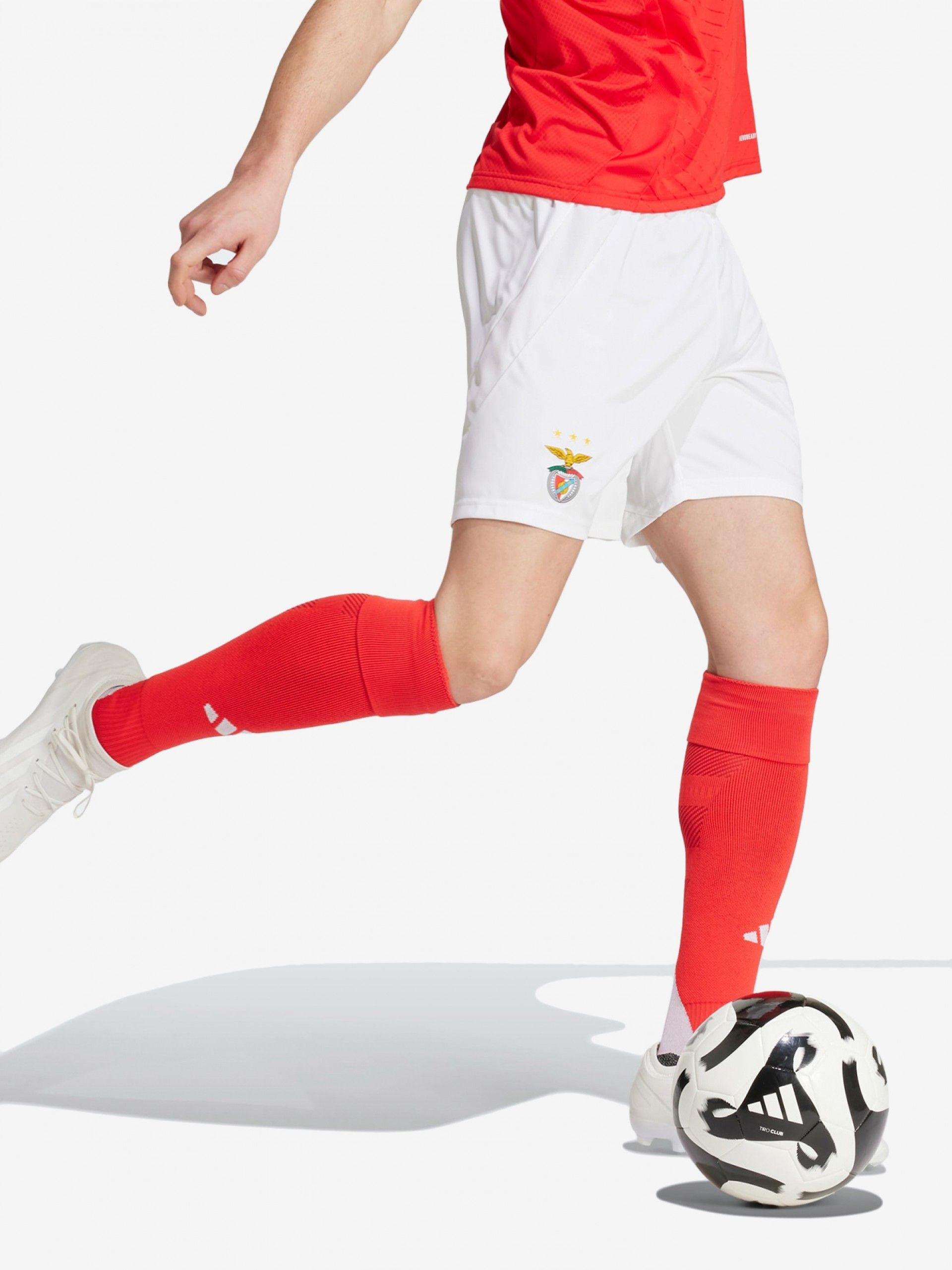 Calções Adidas Equipamento Principal S. L. Benfica EP24/25