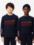 Sudadera Lacoste Colorblock Kids