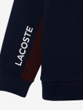 Lacoste Colorblock Kids Sweater