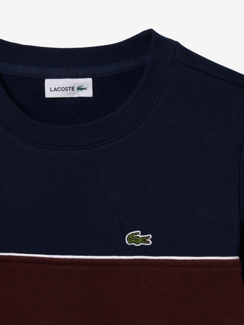 Sudadera Lacoste Colorblock Kids