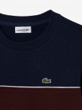 Lacoste Colorblock Kids Sweater