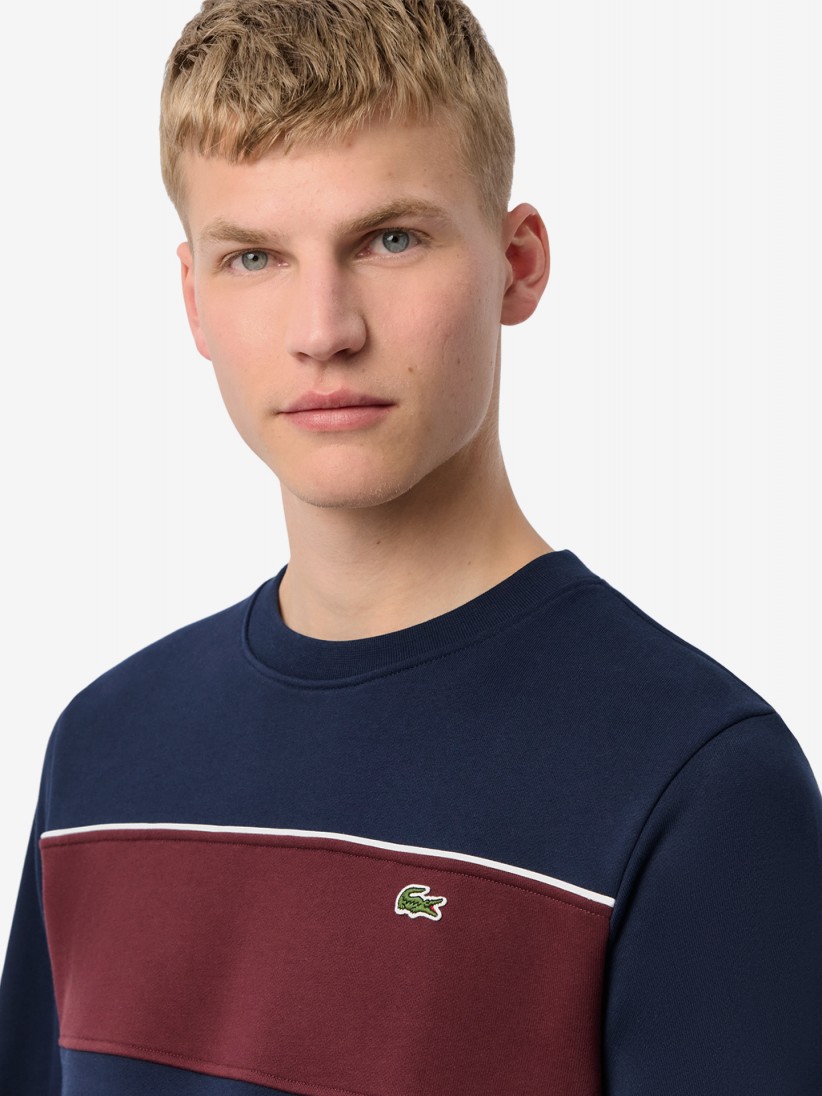 Lacoste Colorblock Classic Sweater