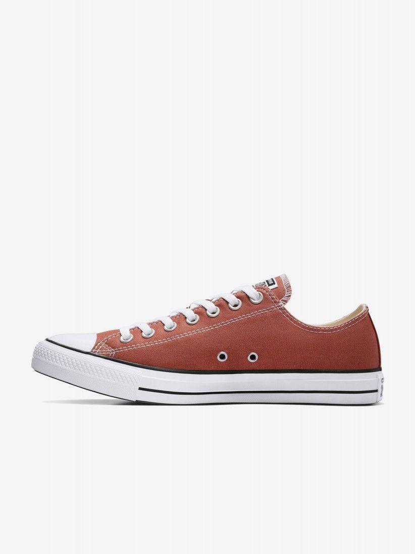 Converse Chuck Taylor All Star Low Sneakers