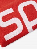 Speedo Logo Towel