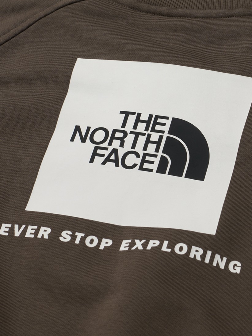 The North Face Raglan Redbox Crew Sweater