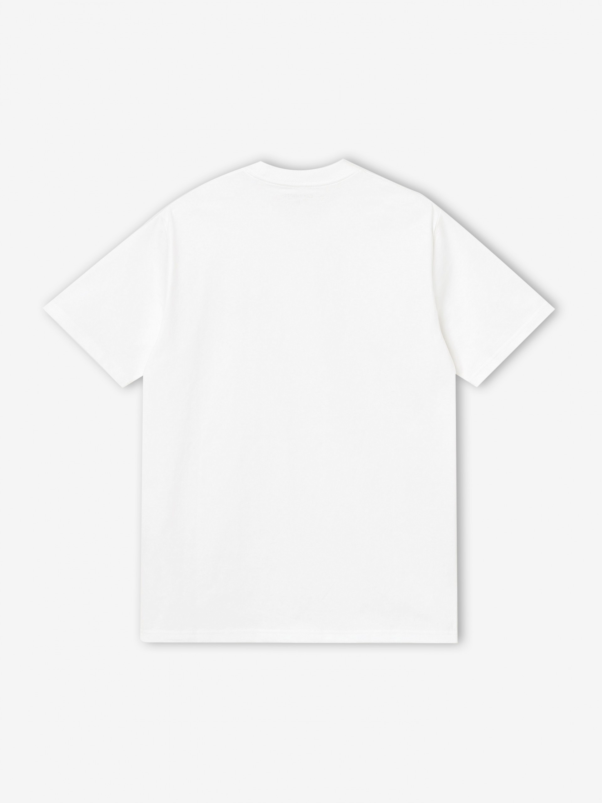 Carhartt WIP University Script White T-shirt