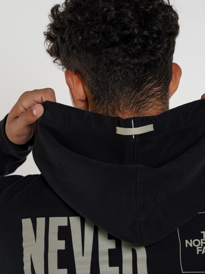 The North Face Coordinates Hood Hoodie