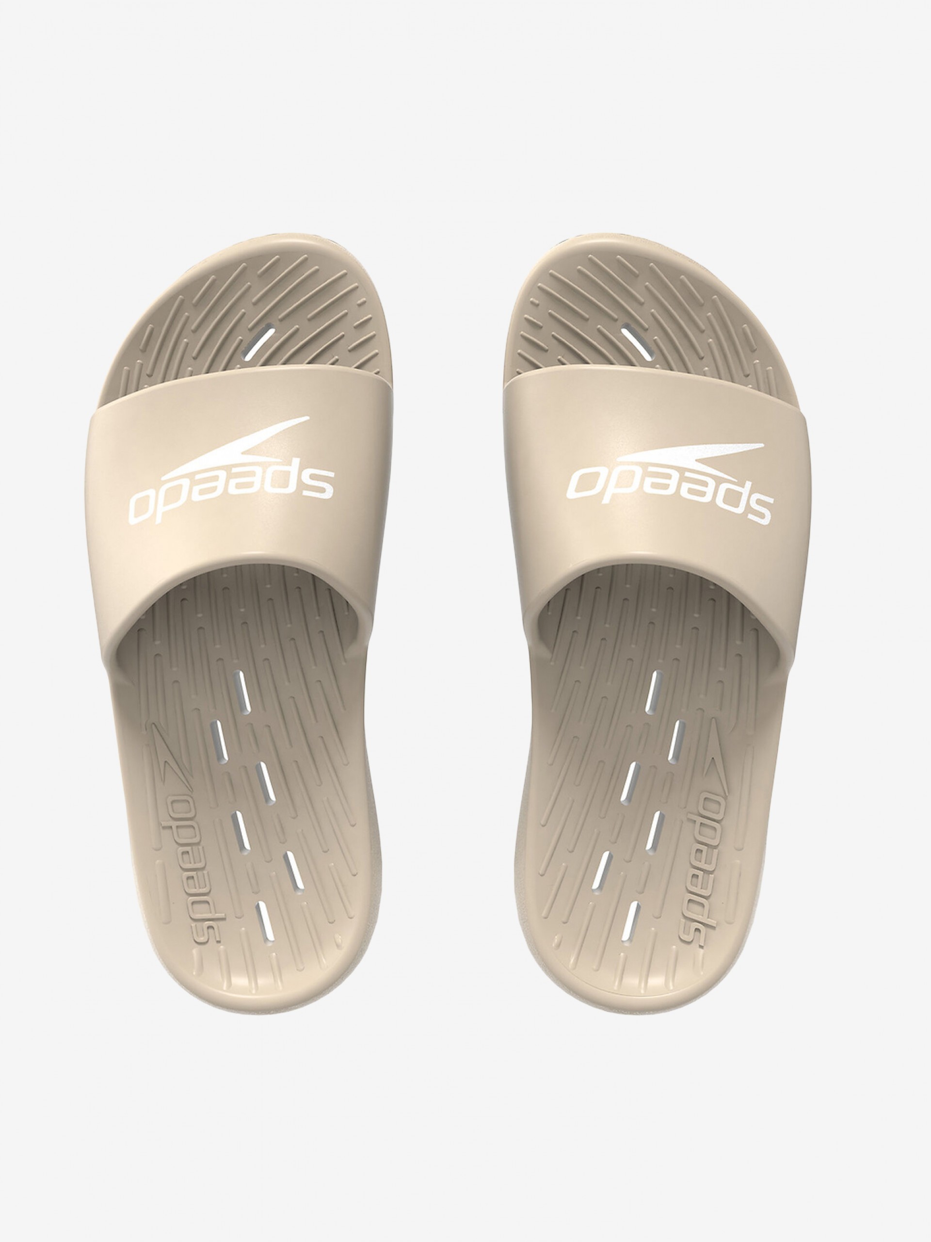 Chanclas Speedo Slide