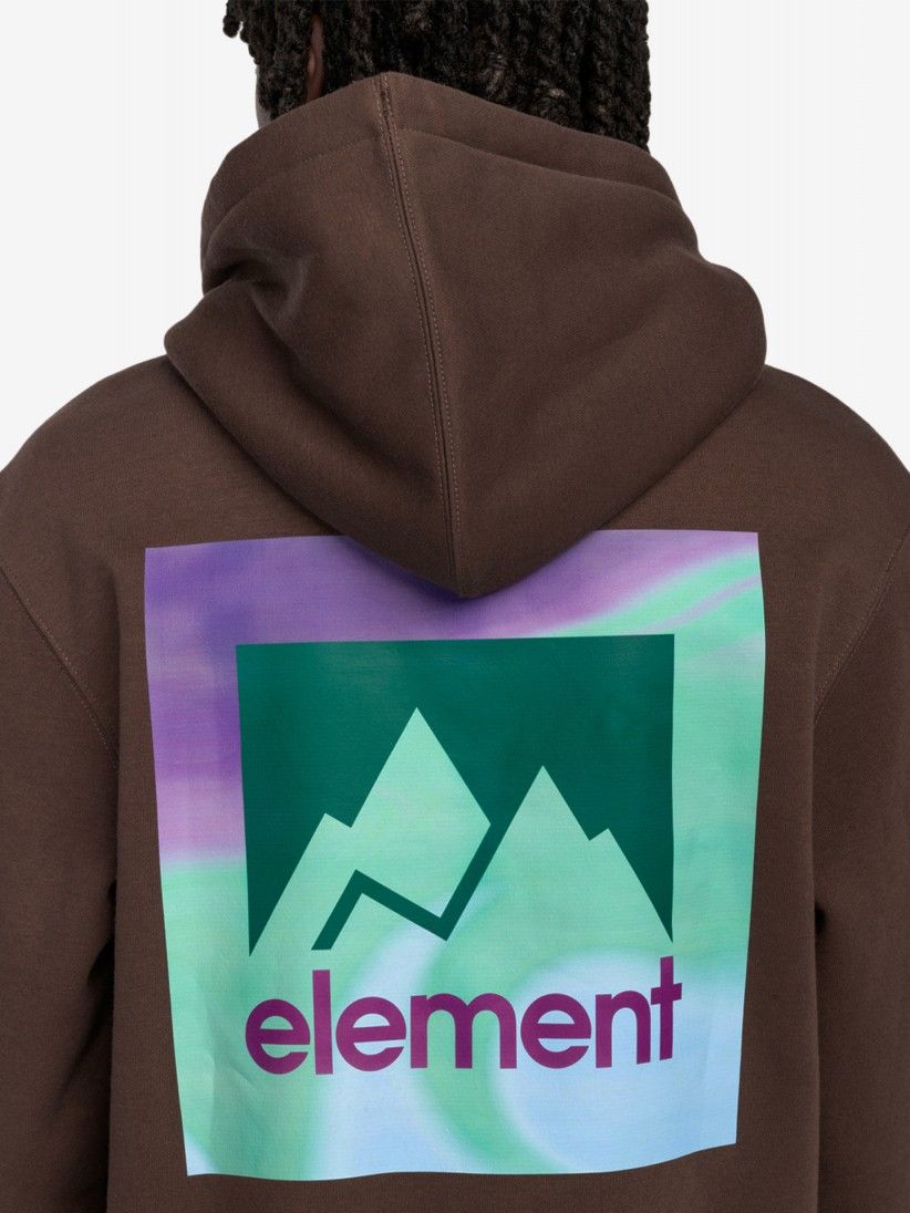 Sudadera con Capucha Element Joint Swirl