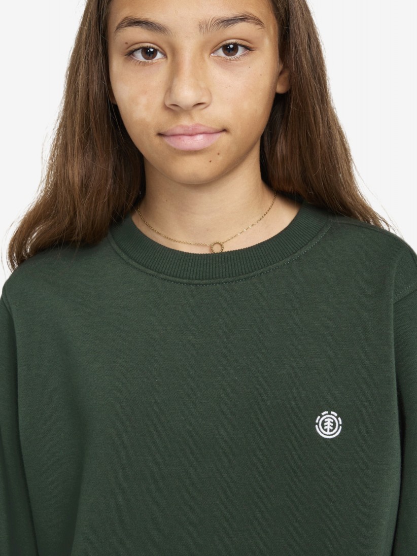 Element Cornell Classic Junior Sweater