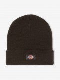 Dickies Gibsland Beanie