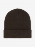 Gorro Dickies Gibsland