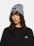 Gorro Dickies Gibsland