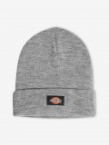 Dickies Gibsland Beanie