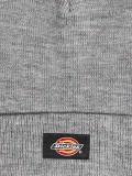 Dickies Gibsland Beanie