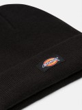 Dickies Gibsland Beanie