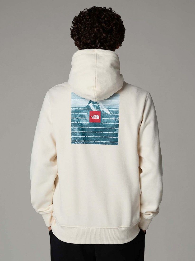 The North Face Expedition System Graphic Hoodie