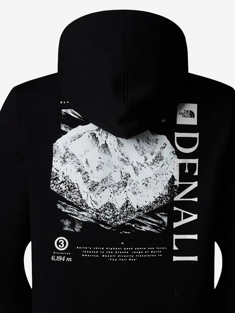 The North Face Hood Topographic Hoodie